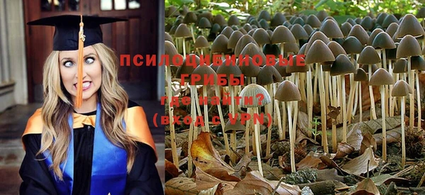 крисы Балабаново