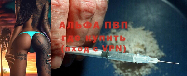 гашик Аркадак
