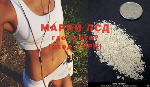 гашик Аркадак