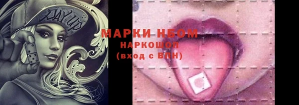 гашик Аркадак