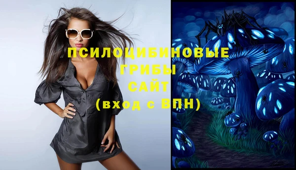 мет Арсеньев
