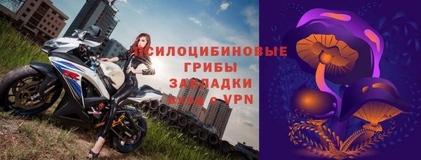 гашик Аркадак