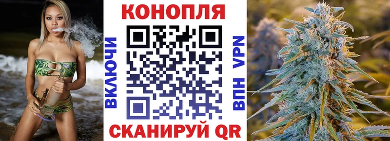 Каннабис OG Kush Орёл